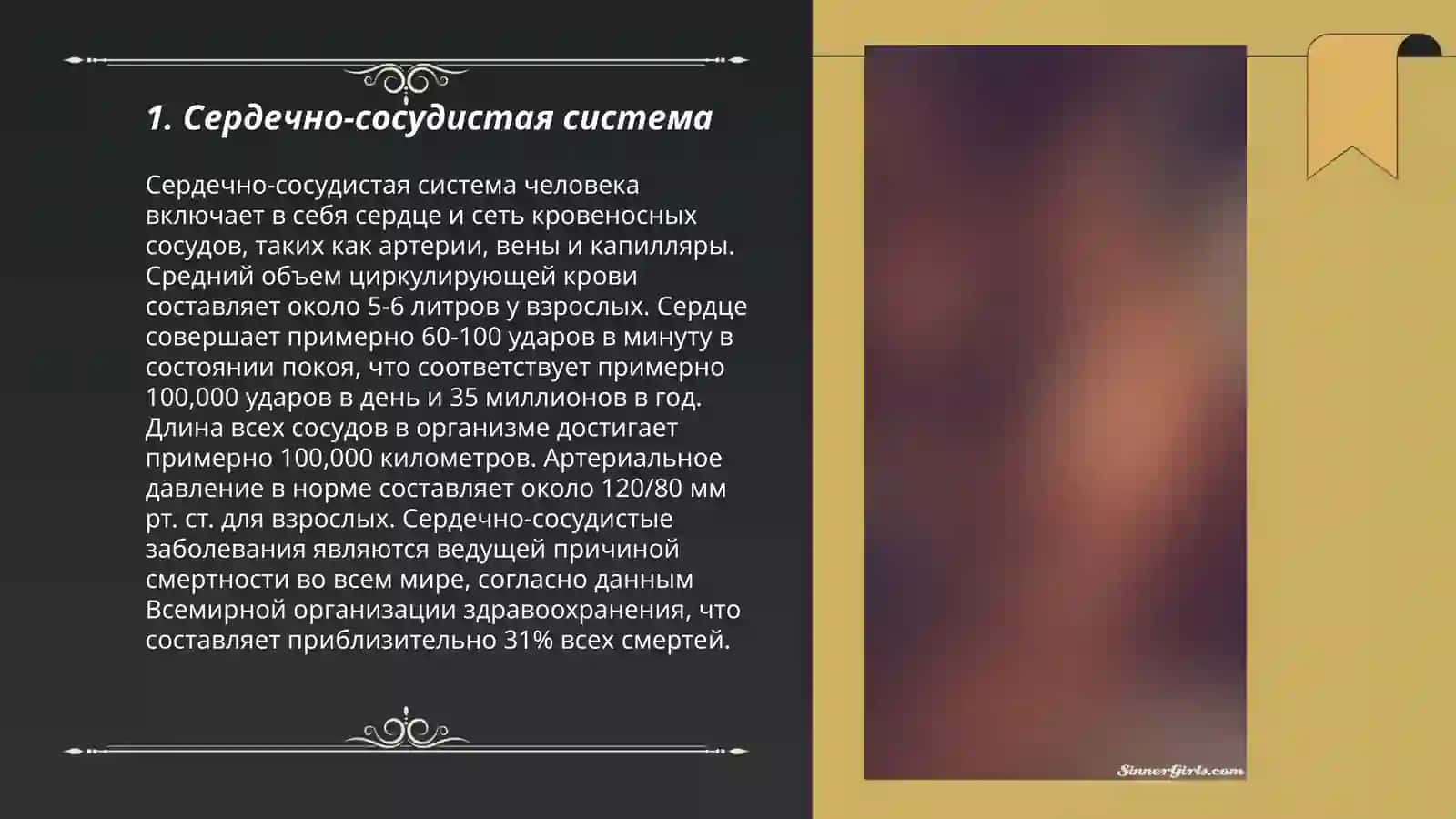 Сердечно-сосудистая система 3