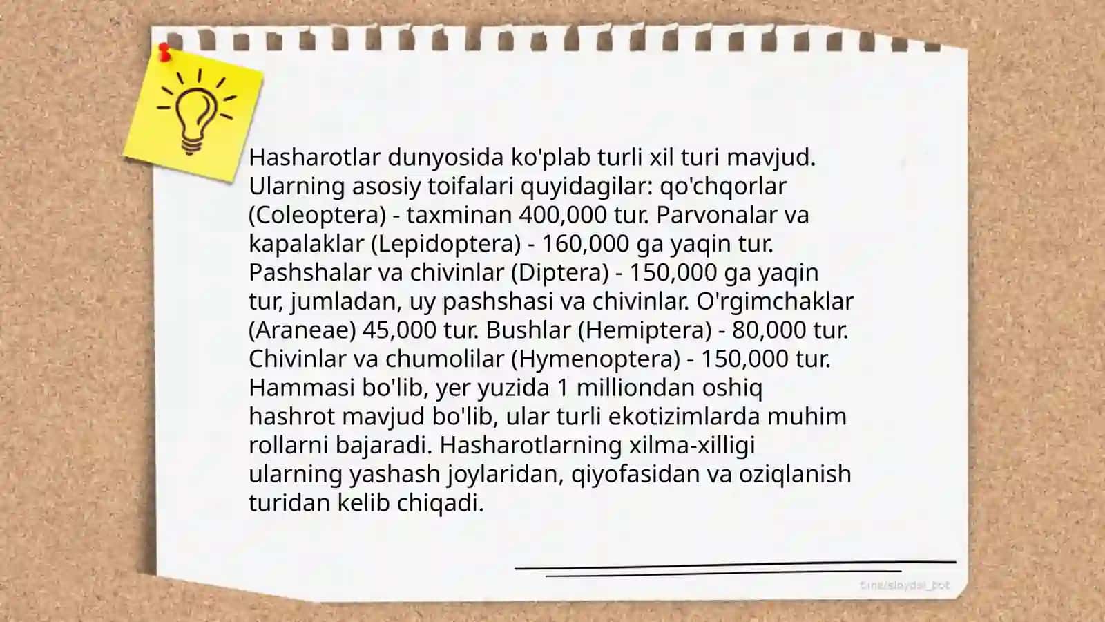 Hasharotlar sinfi 3