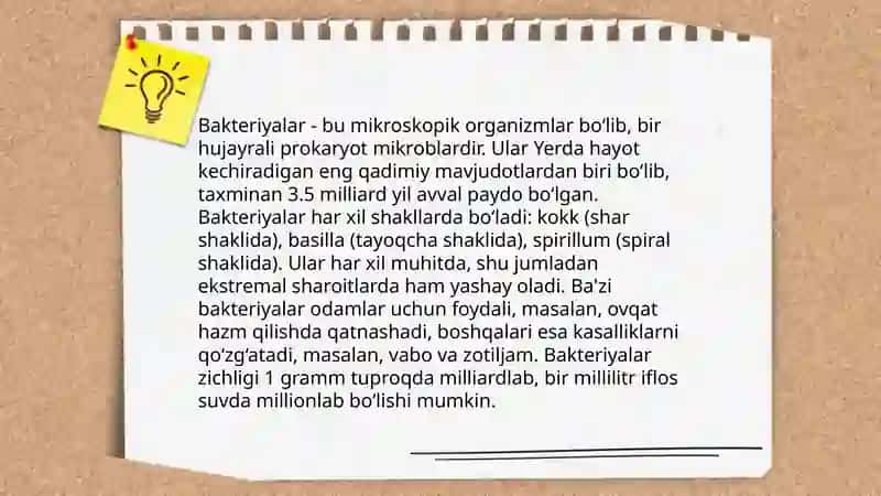 Bakteriyalar 3