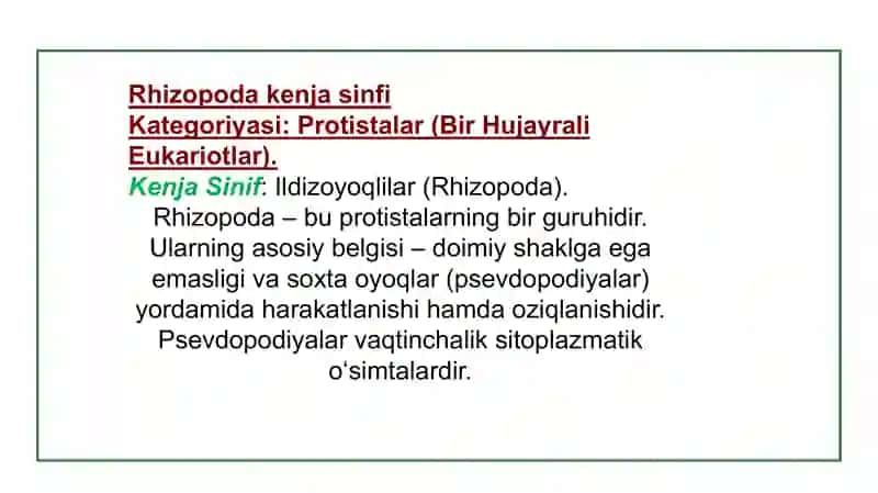 Ildizoyoqlilar (Rhizopoda) Kenja Sinfi 3