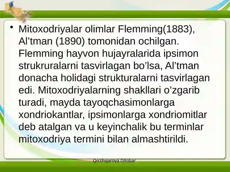 Mitoxodriya va Plastidalarning tuzilishi 3