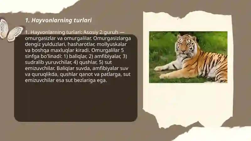Hayvonlarning turlari 3