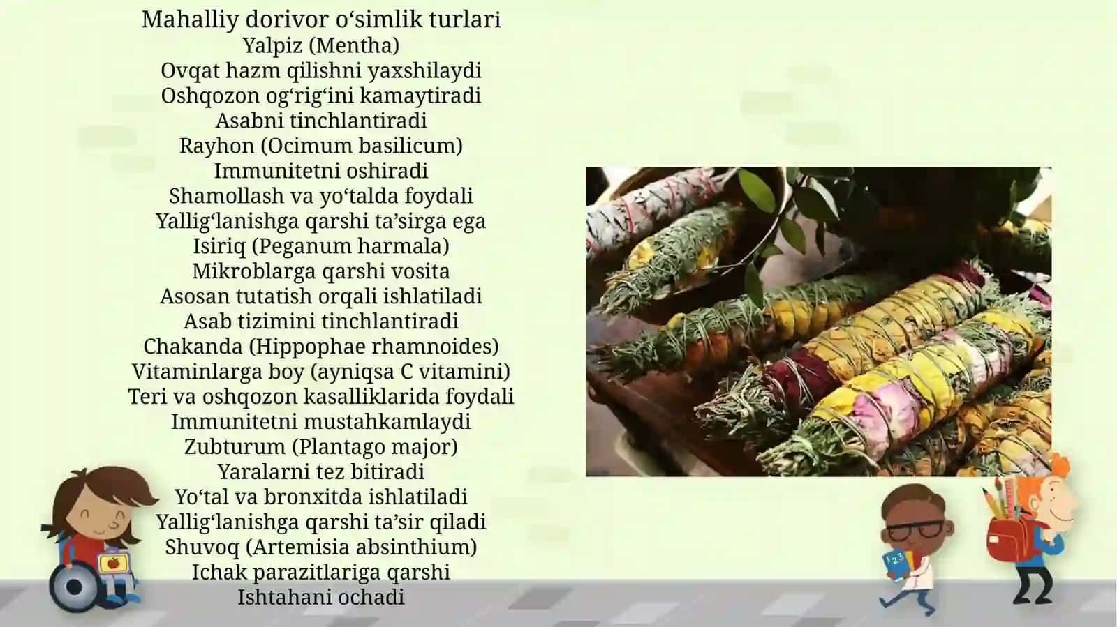 Mahalliy dorivor oʻsimliklar 3