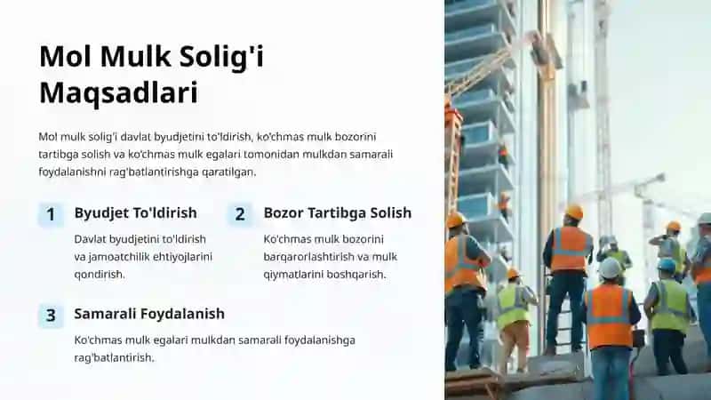 Mol Mulk Solig'i 3