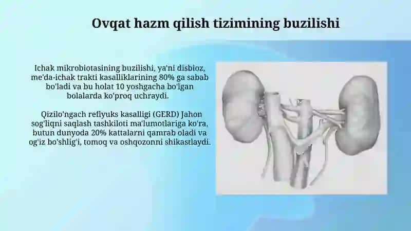 Hazm qilish tizimi 3