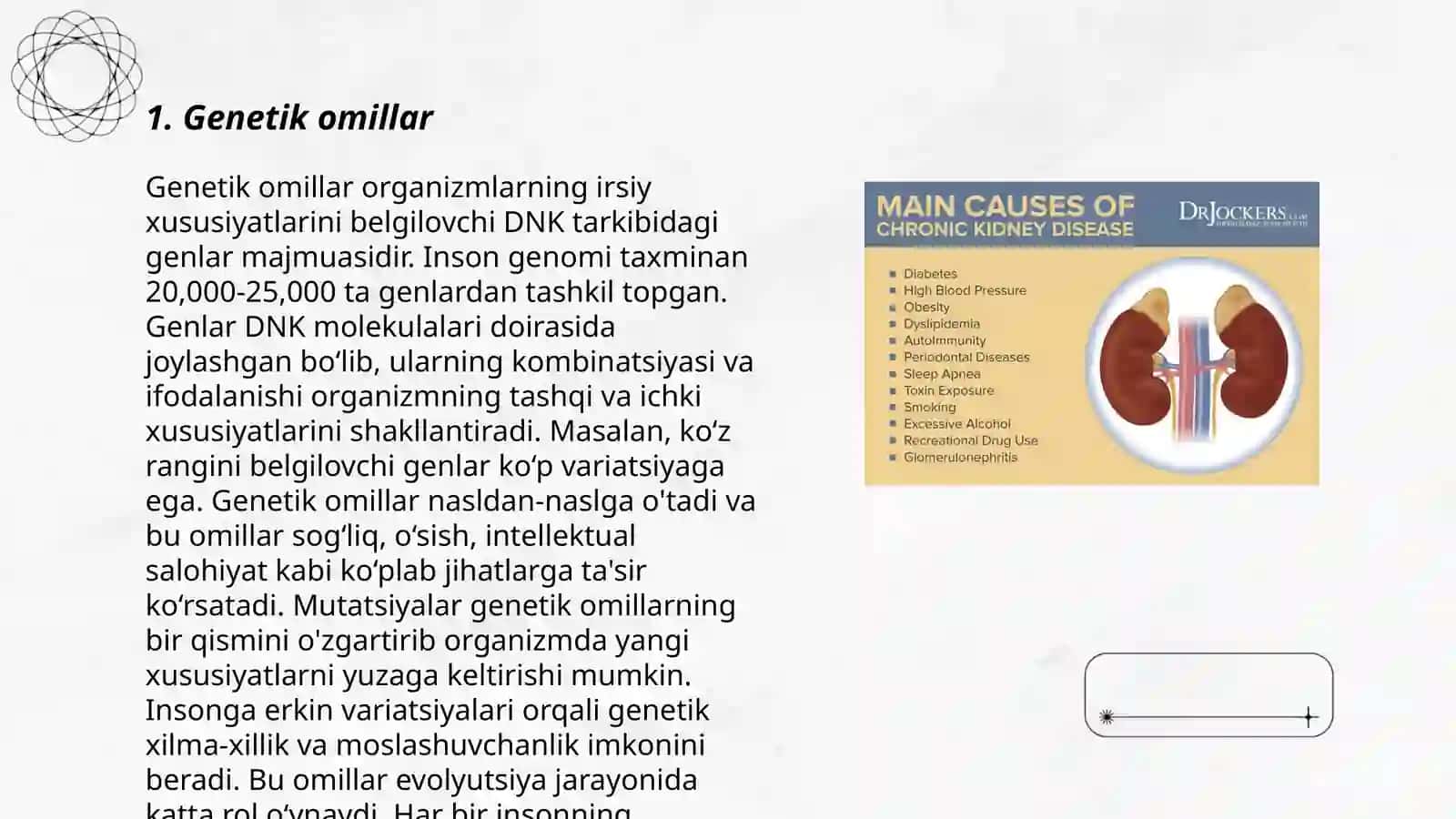 Buyrakda tosh hosil bulishi sabablari va mexanizmlari 3