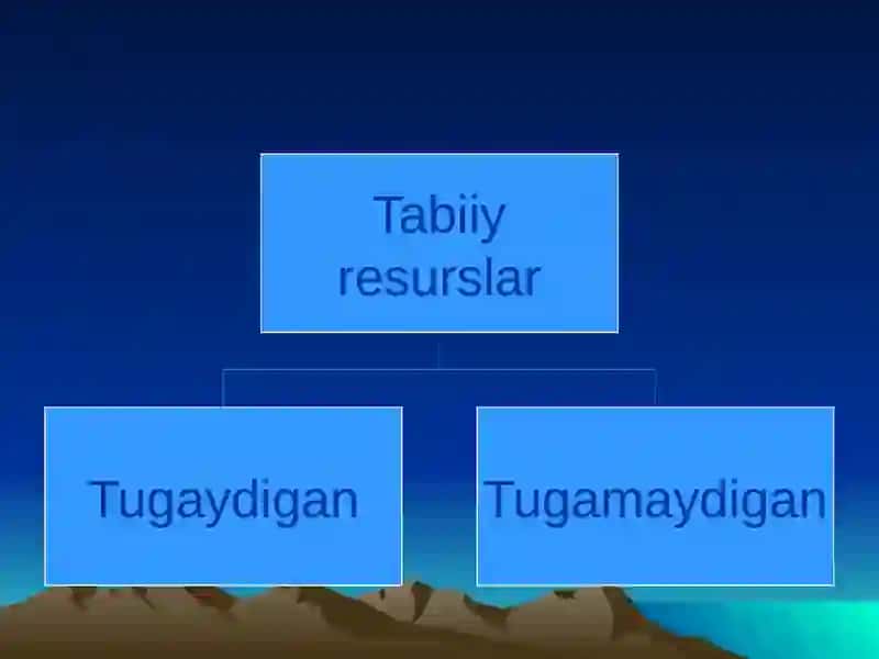 Tabiiyresurslar tasnifi 3