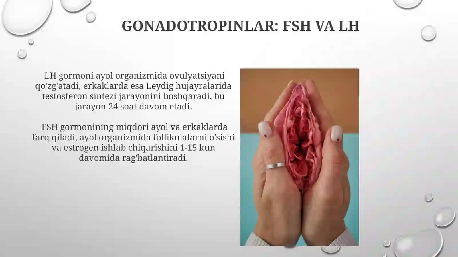 Jinsiy bezlarning ichki sekretsiyasi 3