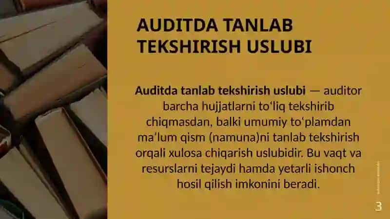 Auditdanlabtekshirishuslubi 3