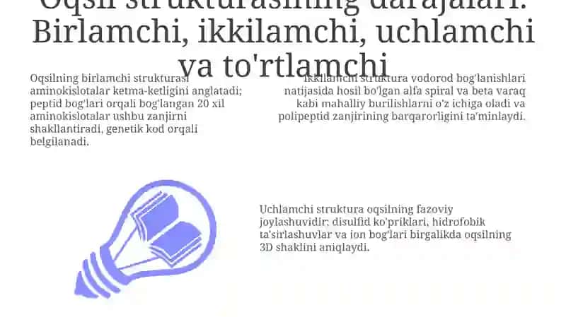 Oqsillarning tuzilish darajalari 3