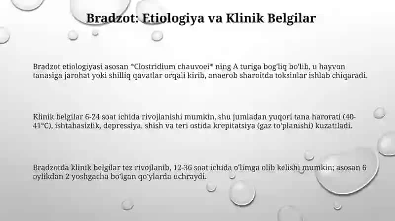Bradzotni labaratoriya diagnozi 3