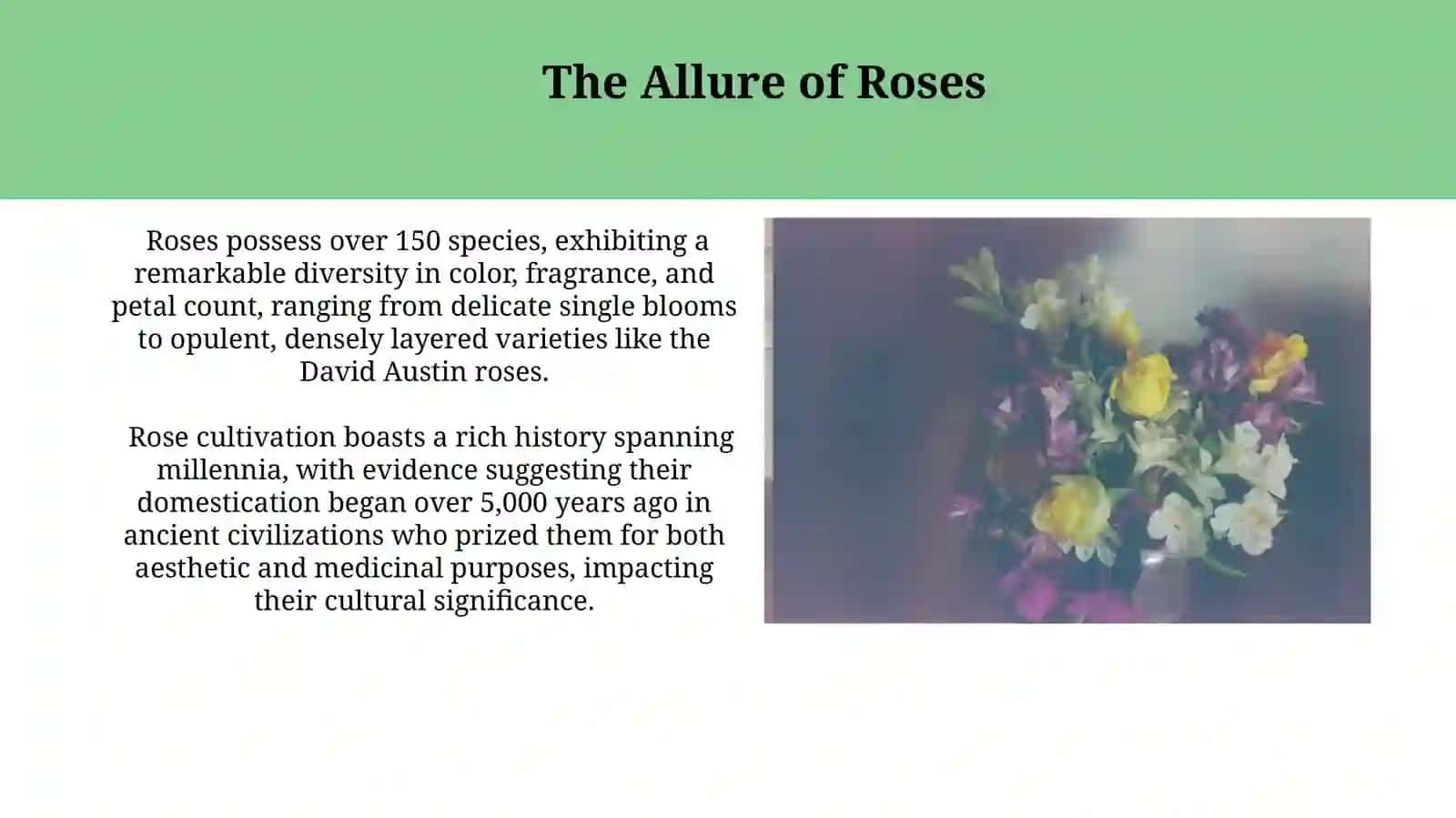 Allure of Roses 3