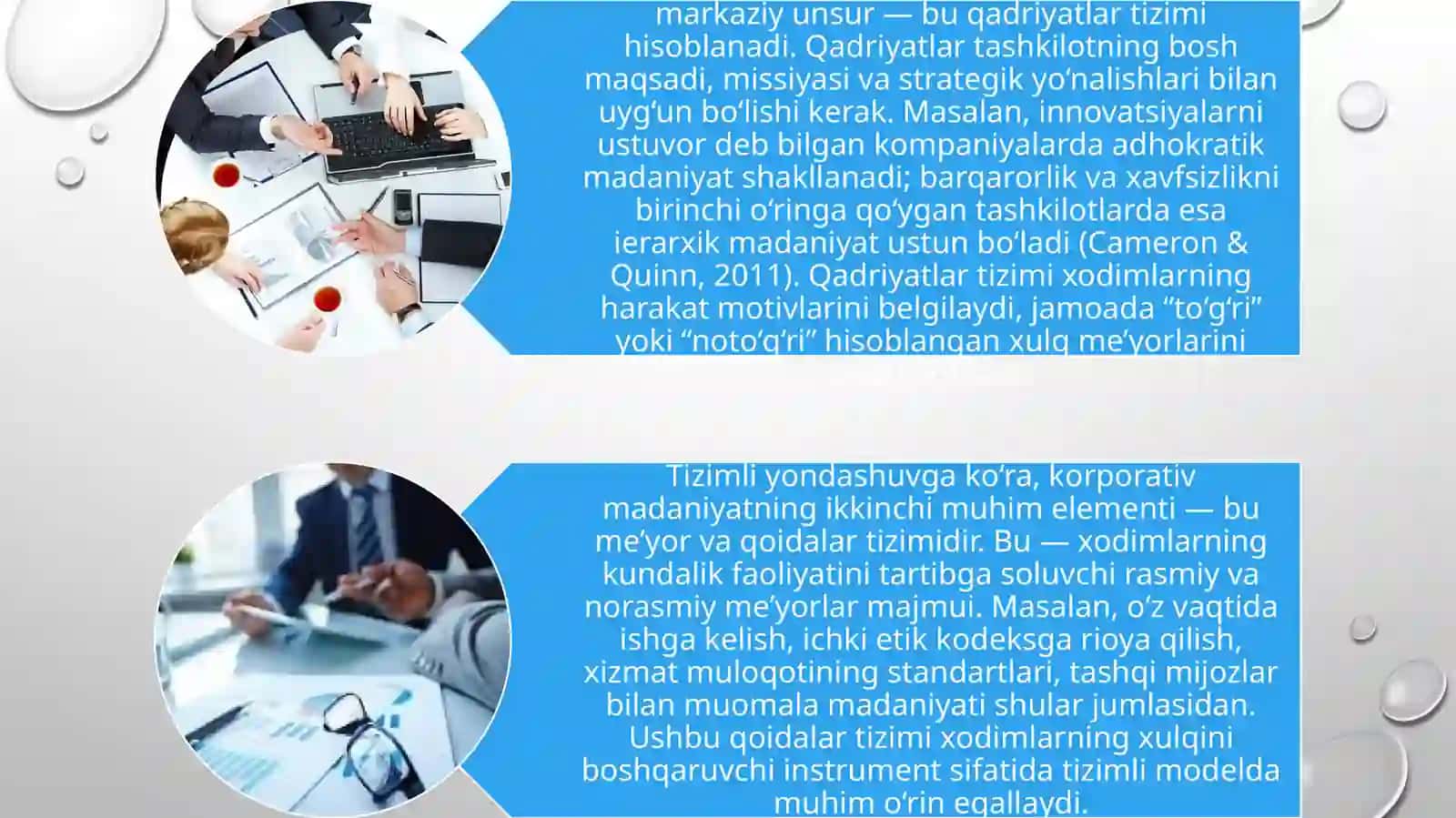 Korparativ madaniyatning tizimli modeli 3