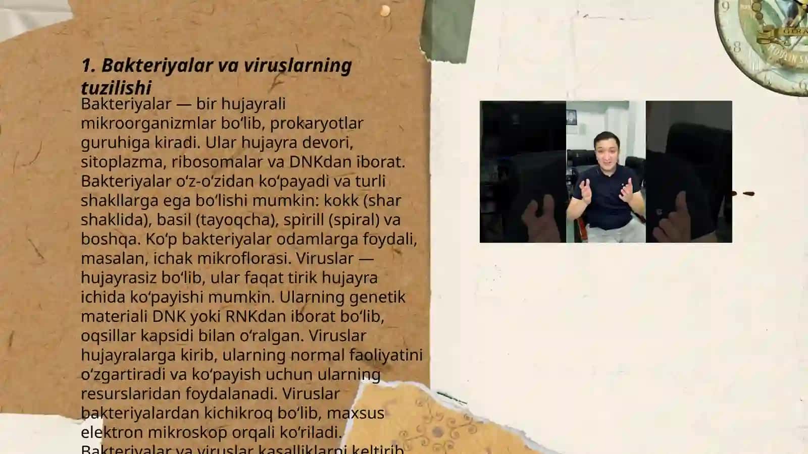 Bakteriya va viruslar 3