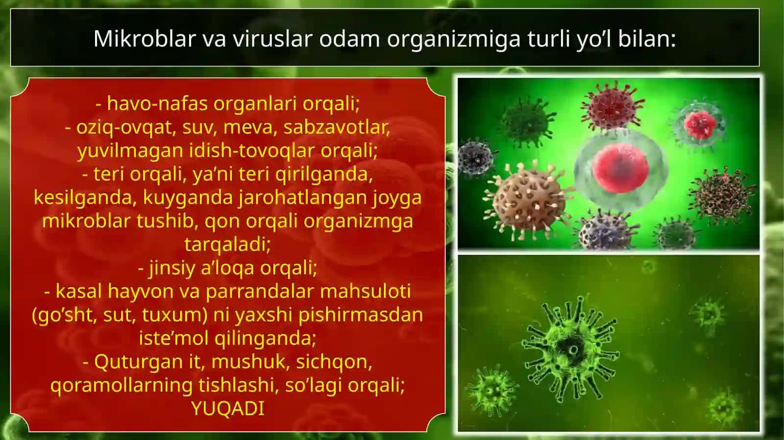 YUQUMSIZ VA YUQUMLI KASALLIKLAR 3