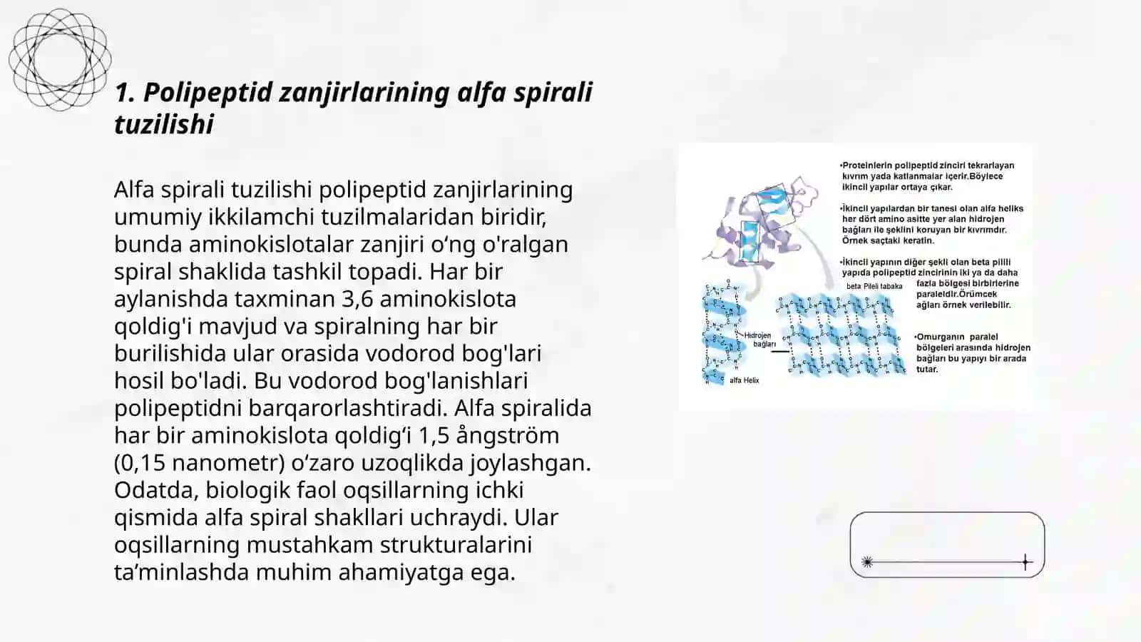 Polipeptid zanjirlarning alfa va betta strukturasi 3