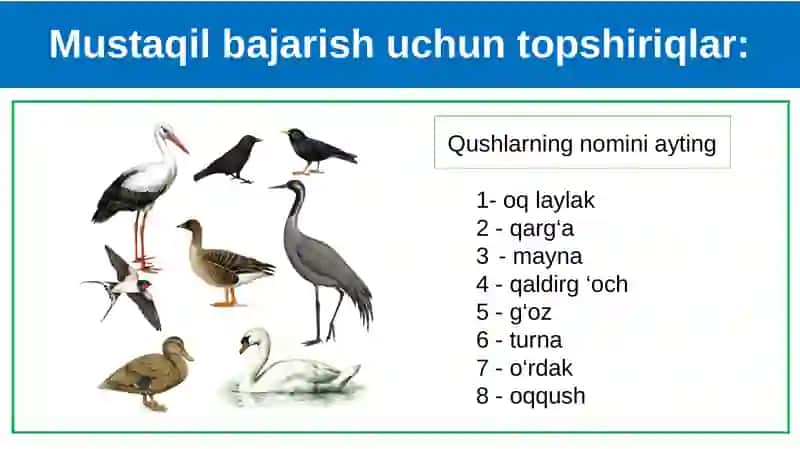 Biologiya DARS REJASI 3