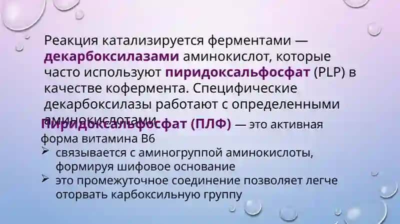 Декарбоксилирование аминокислот 3