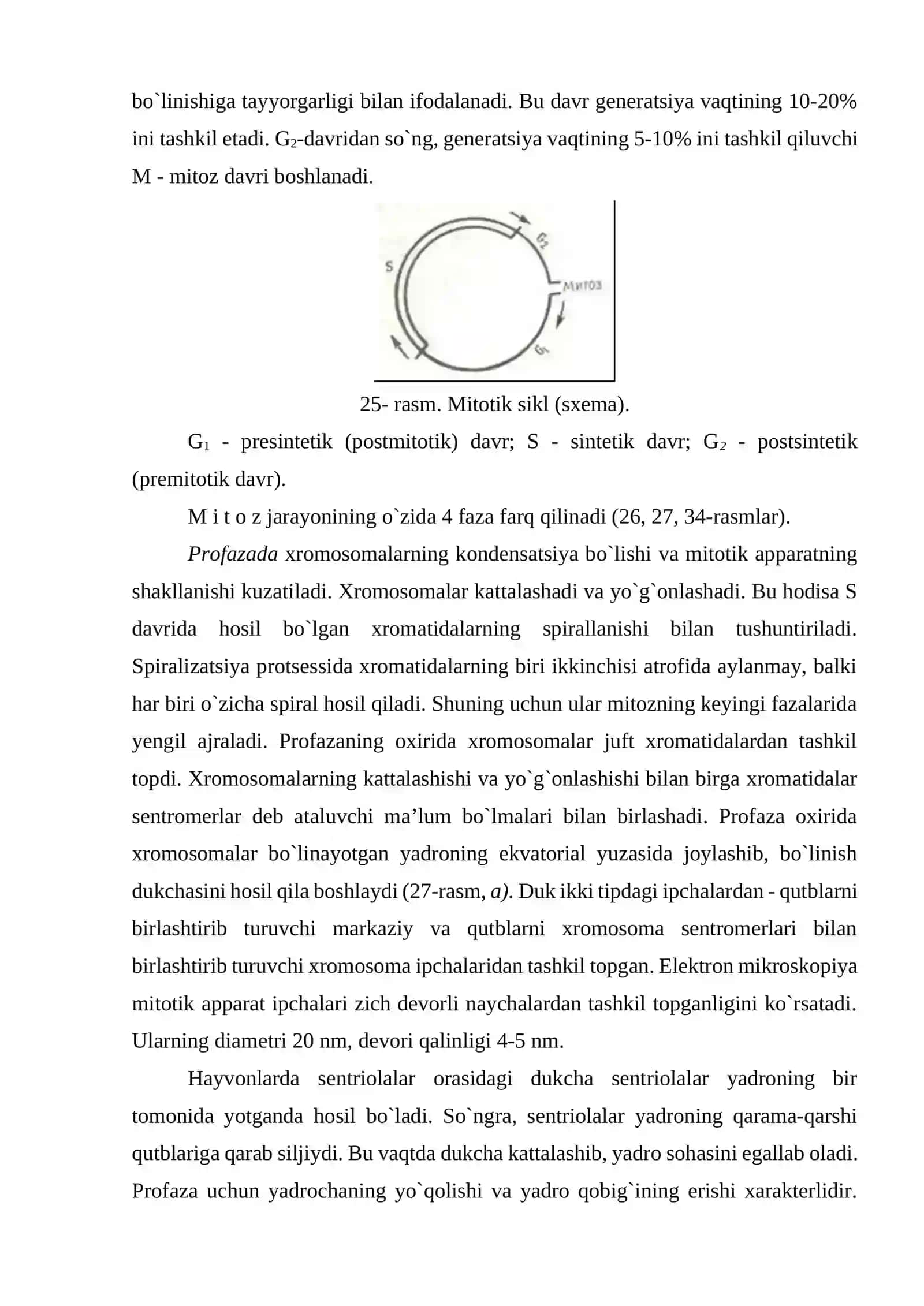 Hujayralarning bo`linishi 3