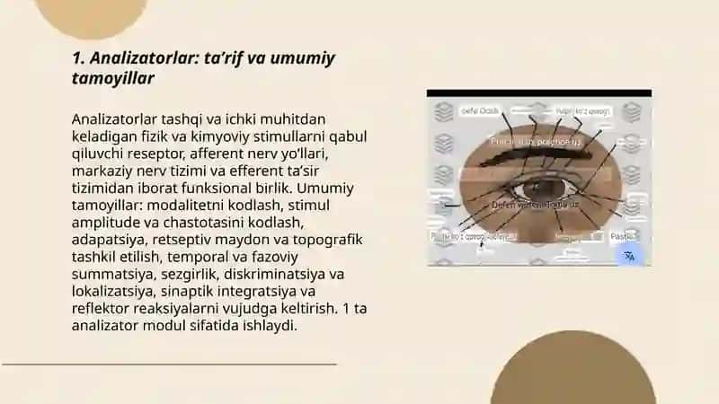 Analizatorlar haqida tushuncha 3