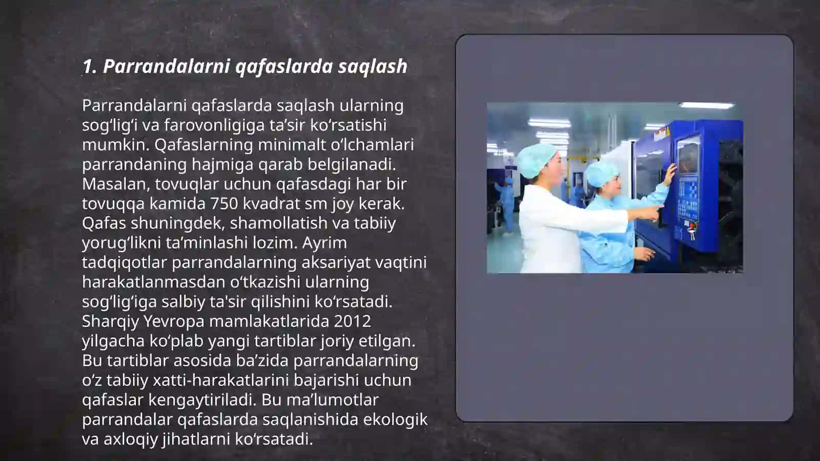 Parranda fabrikalarida parrandalarini saqlash usullari 3