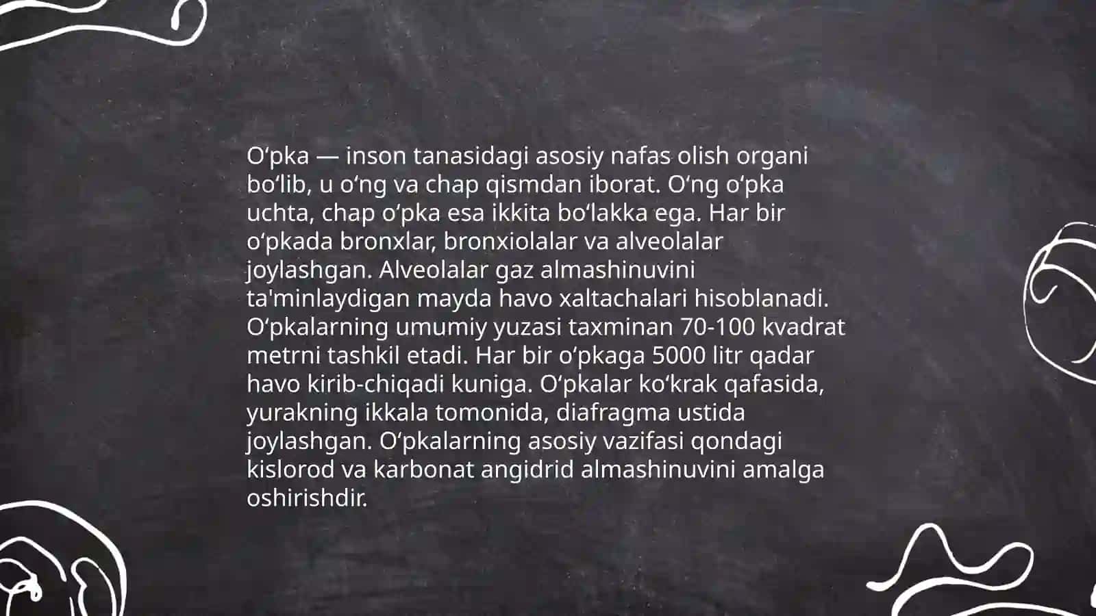 Nafas olish tizimi.Oʻpka va Traxeya 3