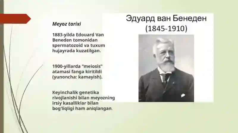 Meyoz jarayoni 3