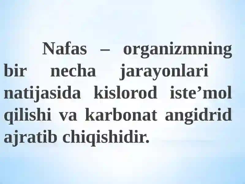 Nafas olish tizimining fiziologiyasi 3