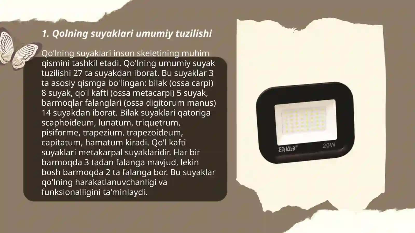 Qo'lning suyaklari 3