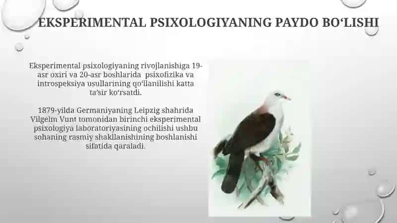 Psixologlik kasbining tarixiy shakllashishi 3