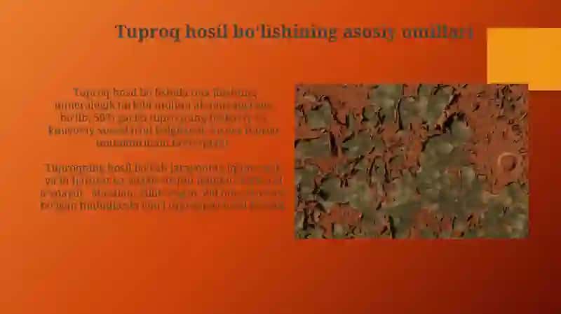 Tuproqning paydo boʻlishi 3