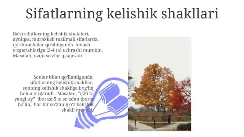 Sifatlarning kelishik shakllari 3