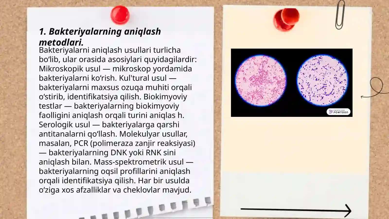Bakteriyalarni aniqlash metodlari 3