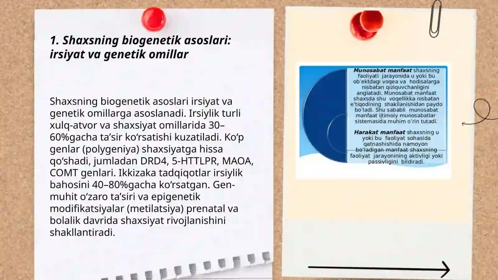 Shaxs shakllanishi va rivojlanishining biogenetik yo’nalishi 3