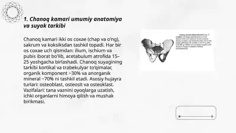 Suyaklarni o'rganamiz 3