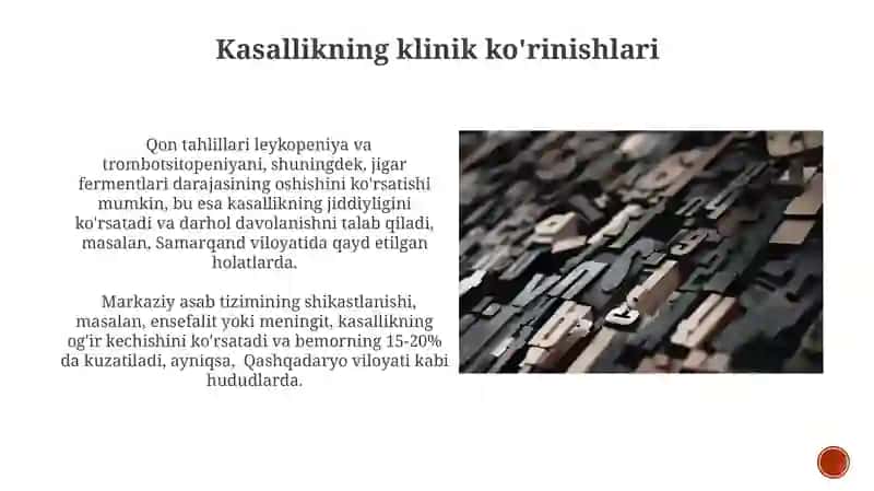 tikanboshlilar tipi xarakterli xususiyatlari 3