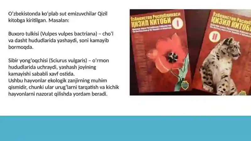 O'zbekiston Qizil kitobiga kiritilgan hayvonlar 3