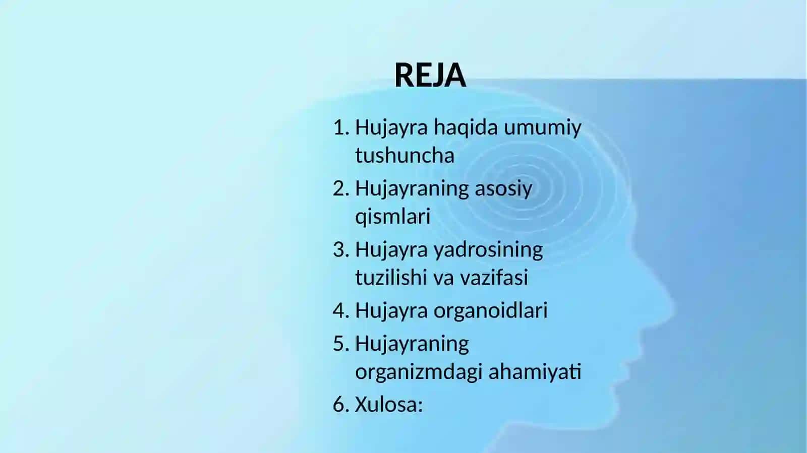 Hujayra tuzilishi 3