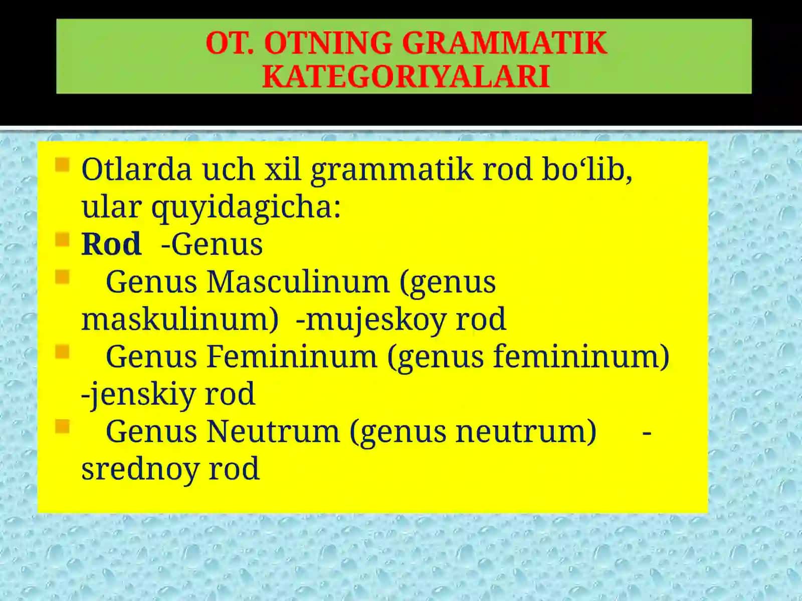 OT. OTNING GRAMMATIK KATEGORIYALARI.MOSLASHMAGAN ANIQLOVCHI 3