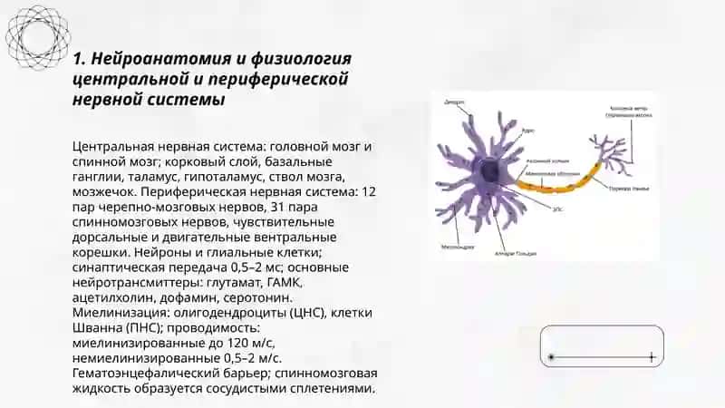 неврология 3