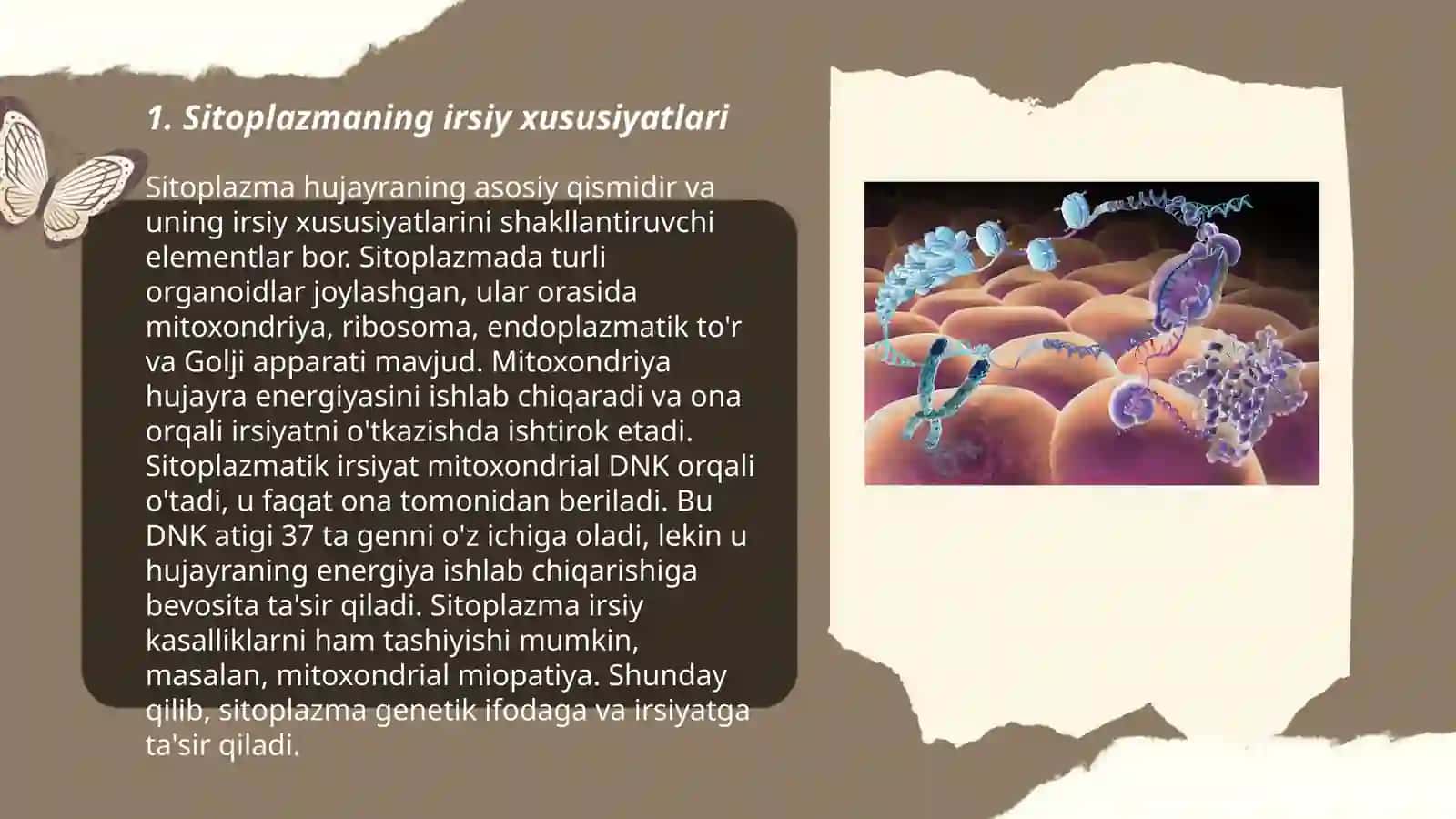 Sitoplazmatik irsiyatning moddiy asoslari 3