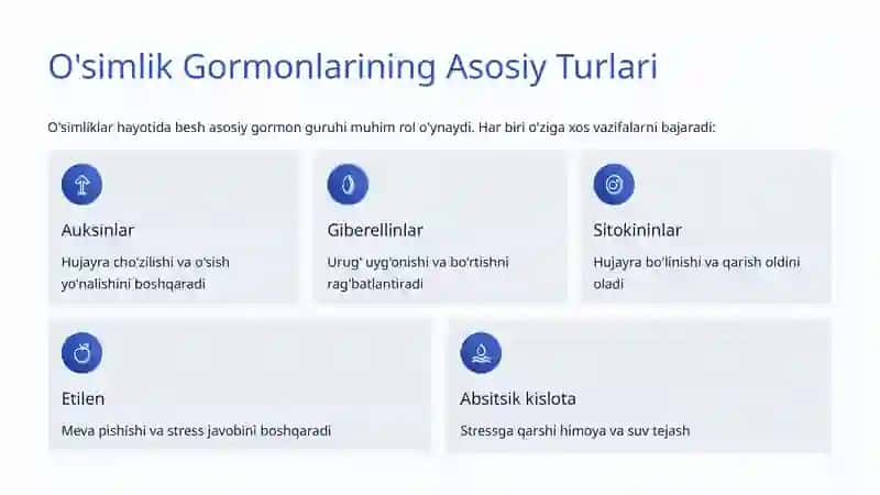 O'simlik Gormonlari: Hayotiy Signallar 3