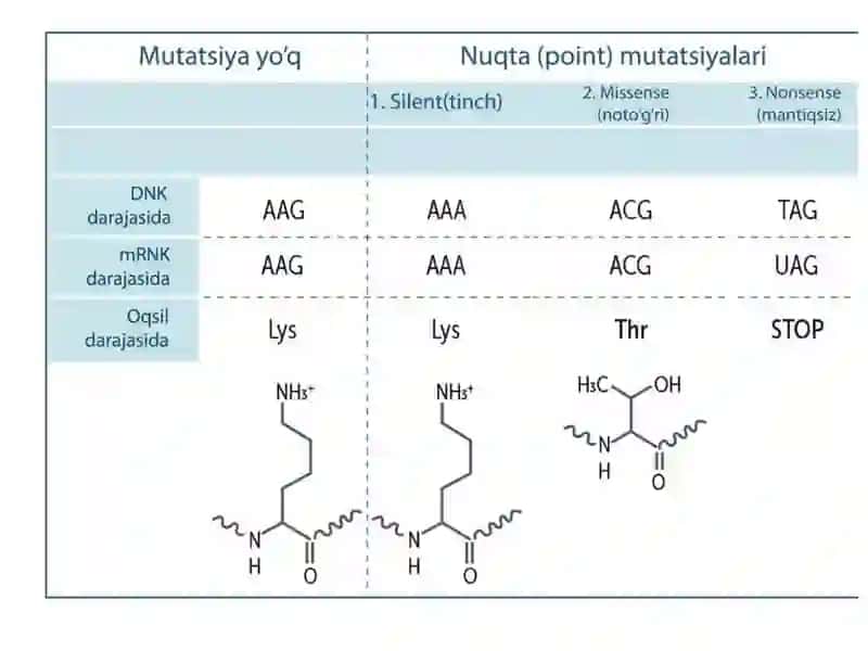 mutatsiyalar 3