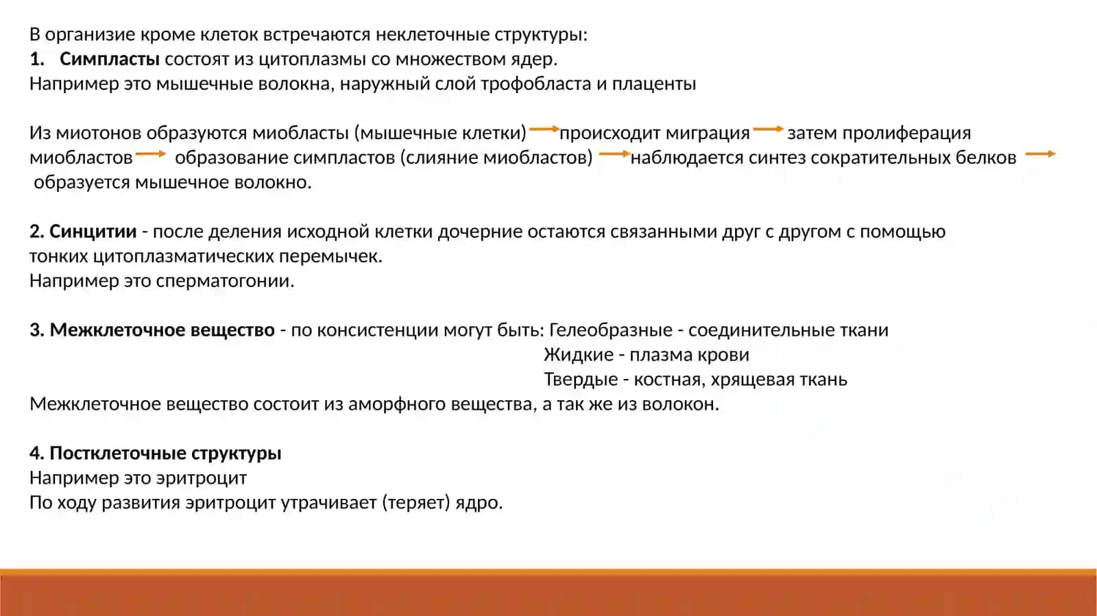 Гистологические элементы. Клетка: плазмолемма и ядро 3