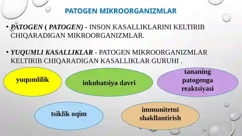 Yuqumli kasalliklar, zoonozlar, gelmintozlar va ularning oldini olish 3