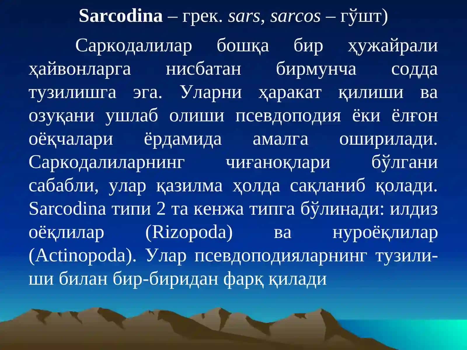 Саркодалилар Типи 3