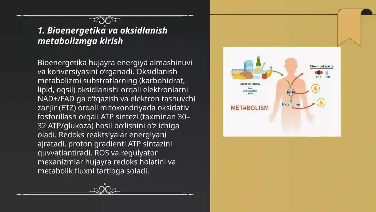 Bioenergetika va oksidlanish metabolizm 3