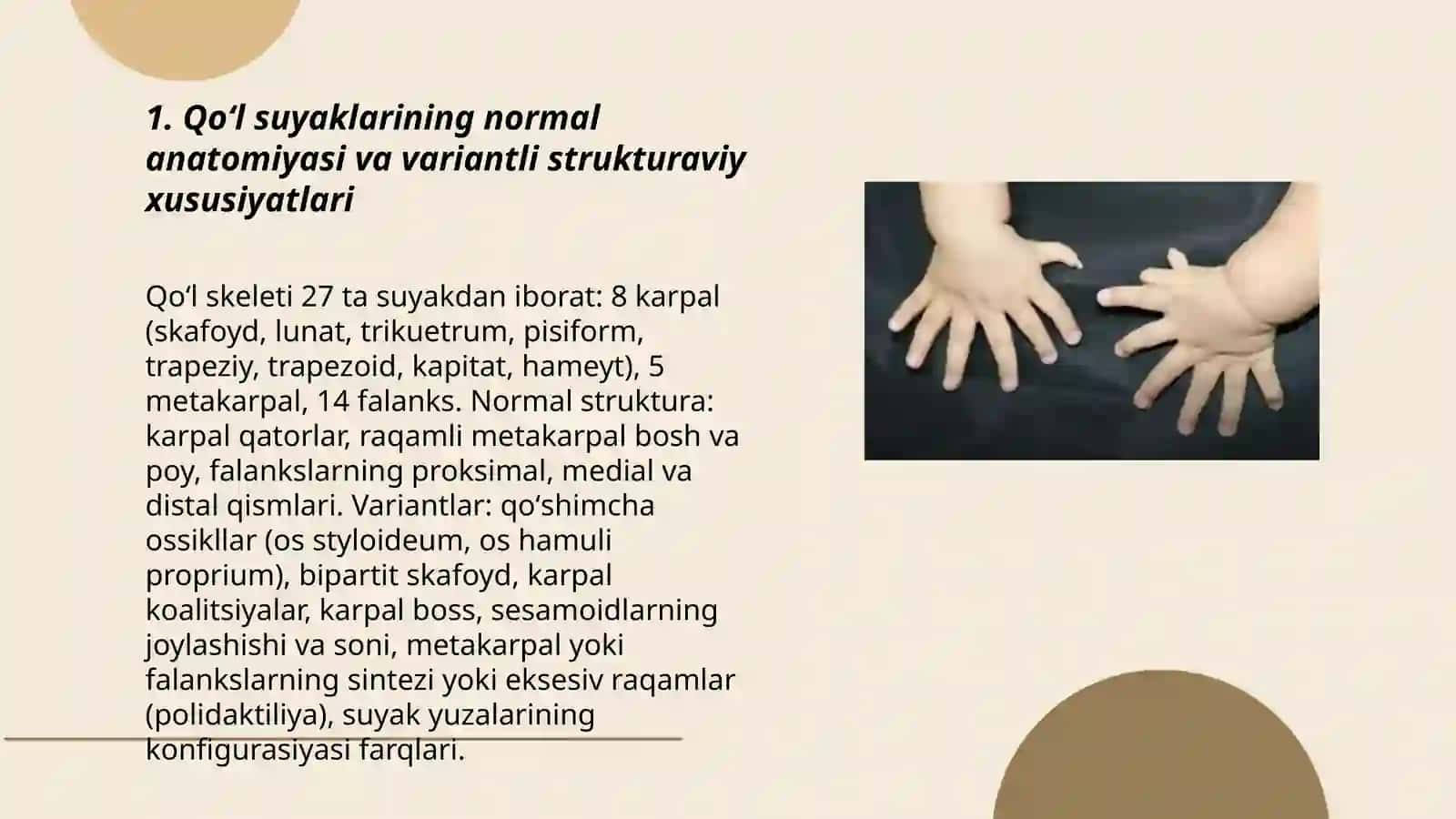 Qoʻl suyaklarining variantli anatomiyasi, rivojlanish nuqsonlari, qoʻl suyaklarining rivojlanishiga ichki va tashqi faktorlarning taʼsiri 3
