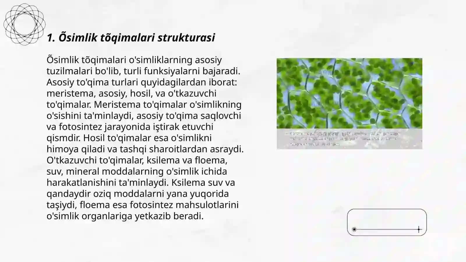 Õsimlik tõqimalari 3