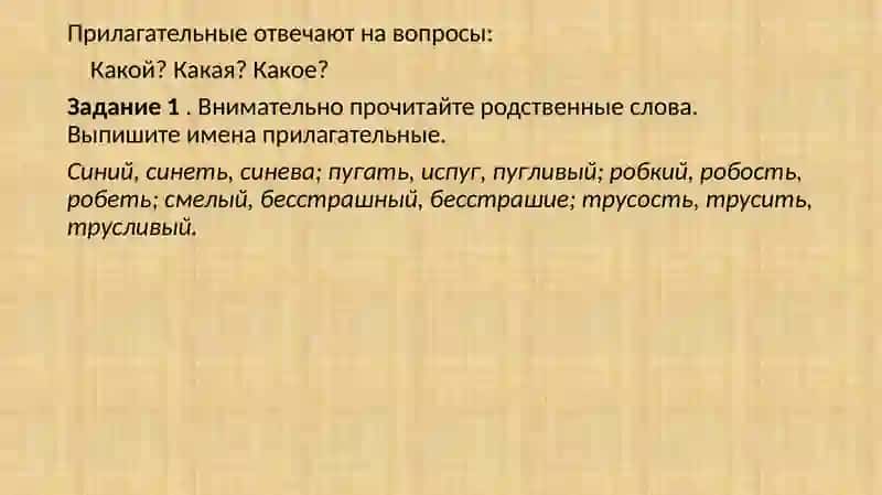 Грамматическая: Имя прилагательное. Лексическая: Учеба 3